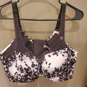 Lane Bryant Cacique 42DD Leopard Print Bra
